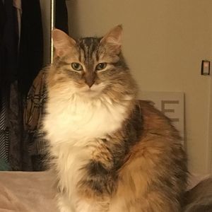 Meet your Posher, Sandra